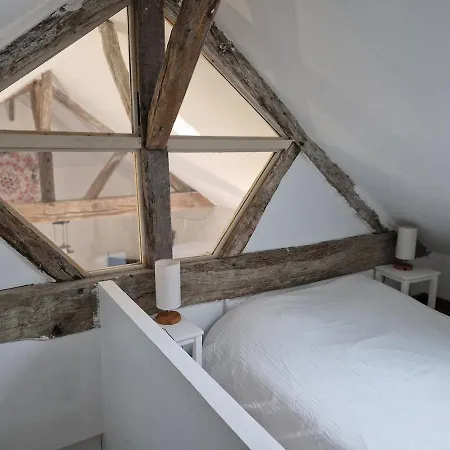 度假居 Maison De Vigneron Turquant